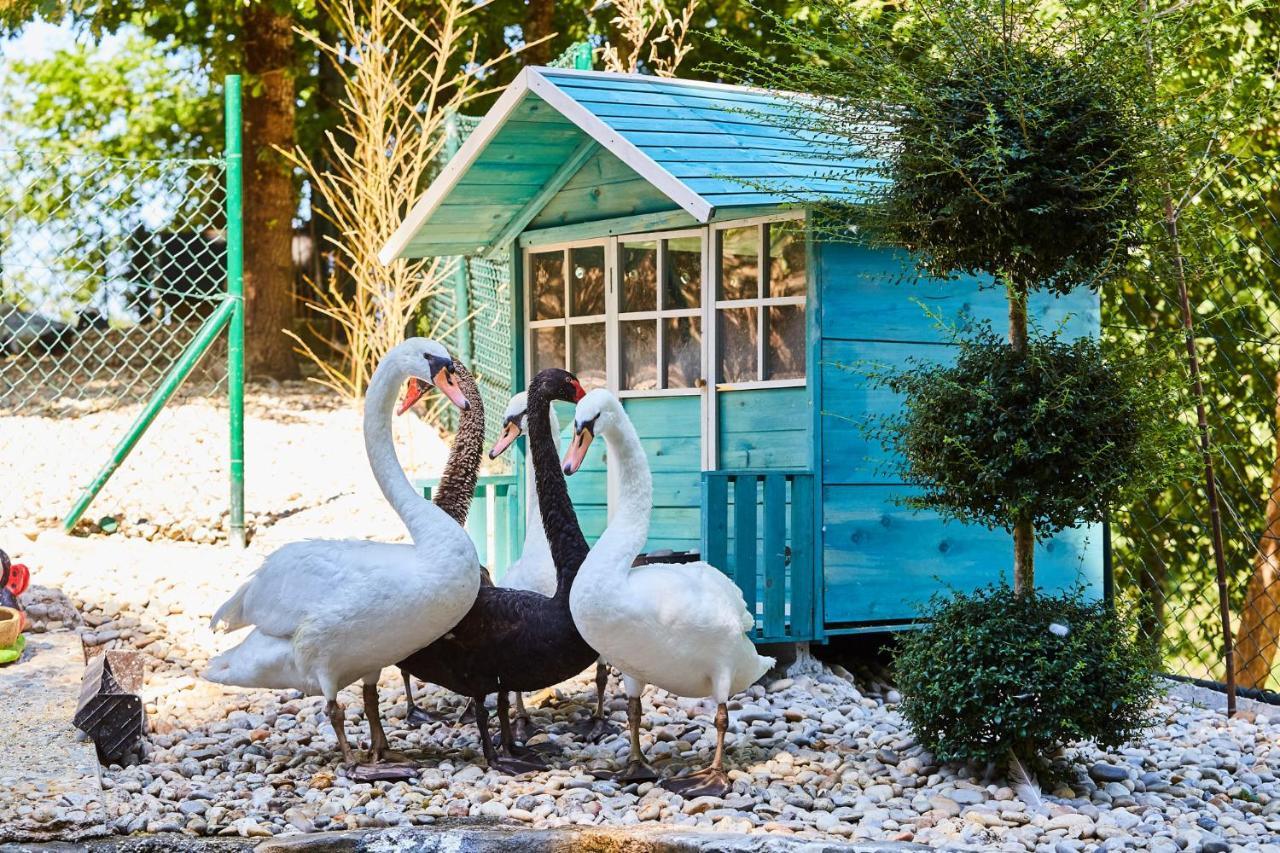 Quinta Do Lordelo Turismo Rural ペニャフィエル エクステリア 写真